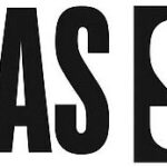 Las Vegas Shows logo